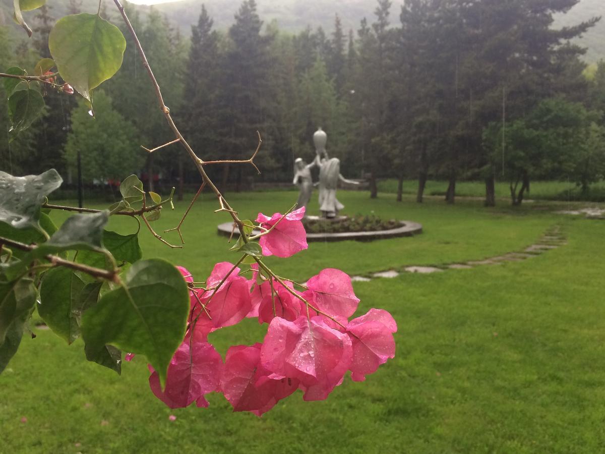Jermuk Olympia Sanatorium Hotel Kültér fotó